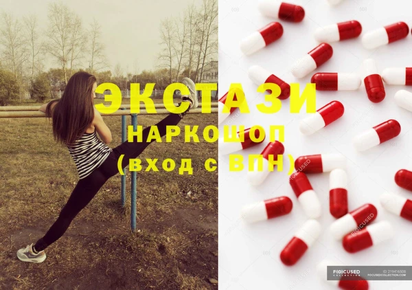 ECSTASY Белокуриха